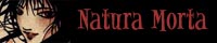 Natura Morta